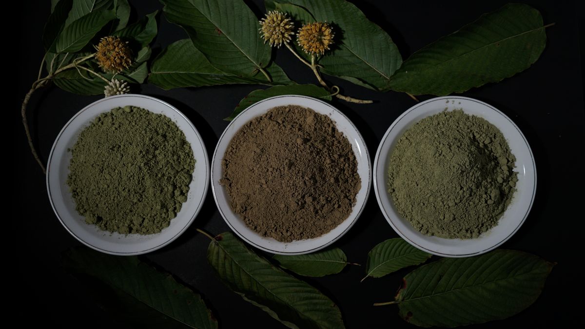 Ukrajinské úřady odhalily síť pašující kratom z Česka po celé Ukrajině